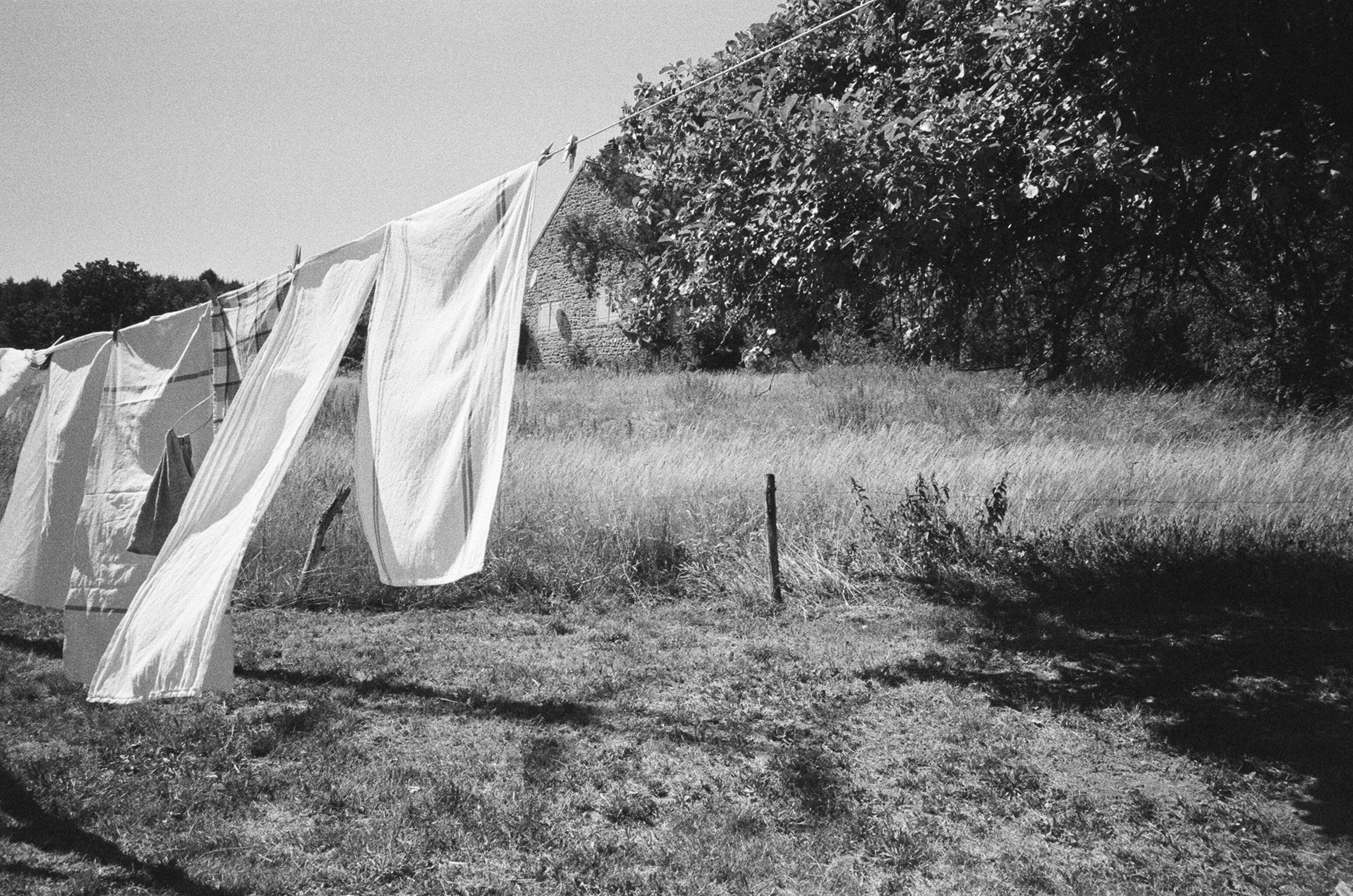 Greenwashing: investigating the concept