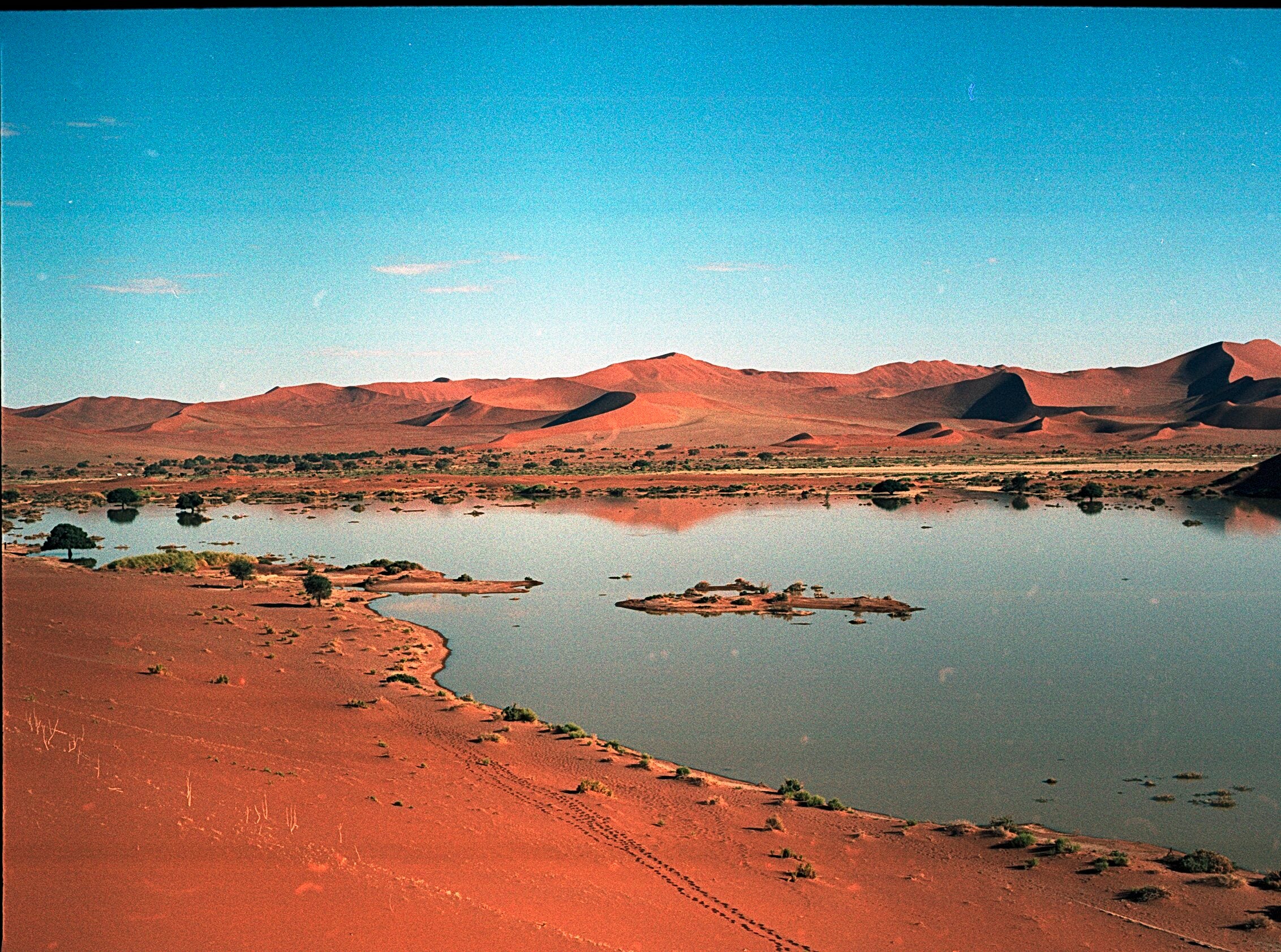 How To Be More Eco Friendly